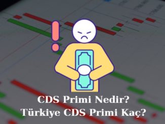cds primi nedir, kredi risk primi nasıl hesaplanır, Türkiye'nin CDS primi kaç