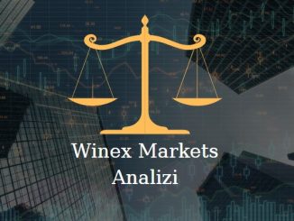 winex markets şirket incelemesi