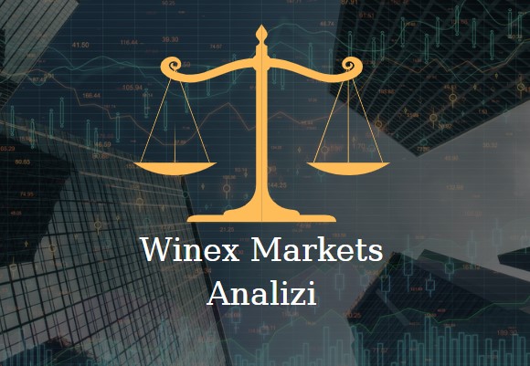 winex markets şirket incelemesi