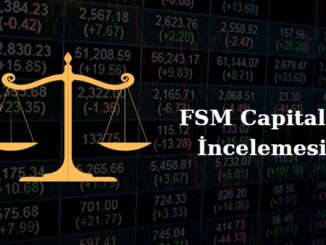 FSM Capital analizi, FSM Capitals analizi